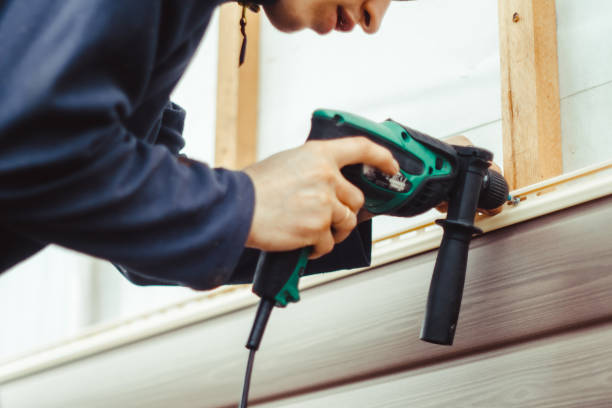 Best Vinyl Siding Installation  in Boyceville, WI